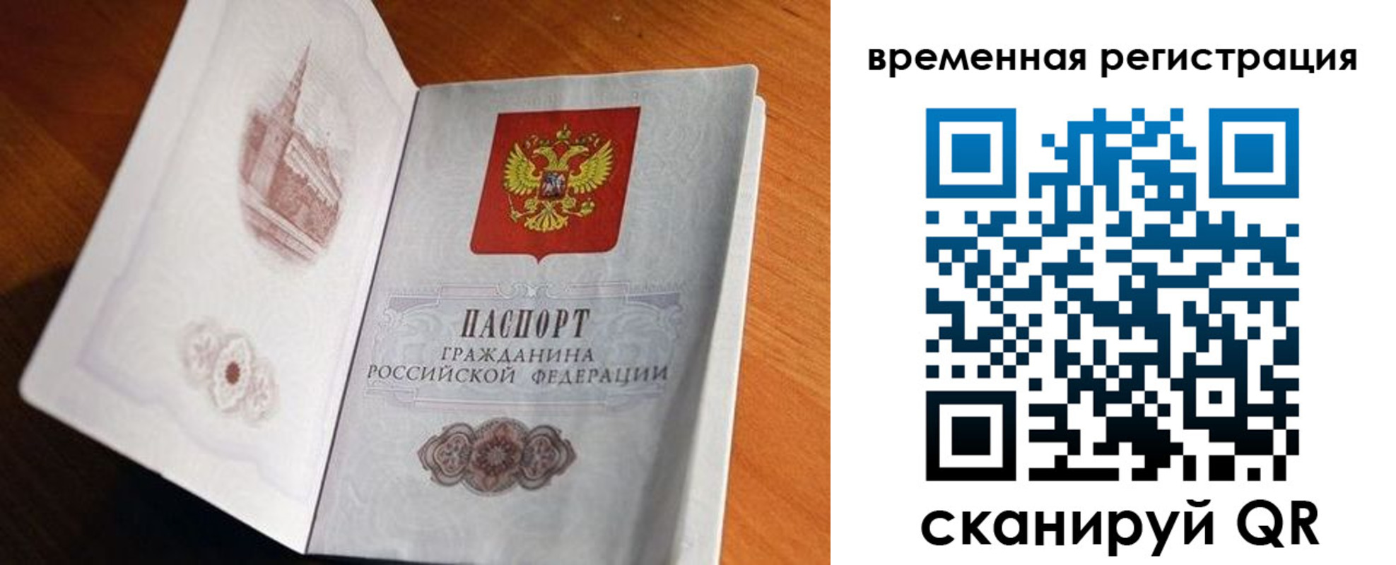прописка штамп в Луге